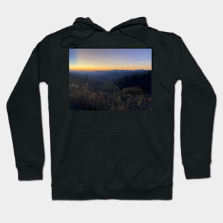 Woolyback Lookout Hoodie